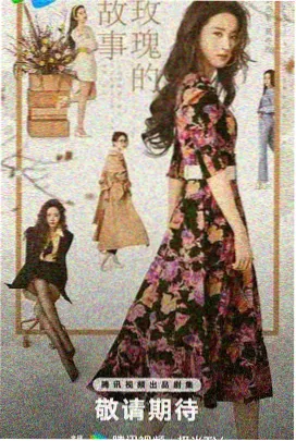 长夜拾光者 热播电视剧免费观看